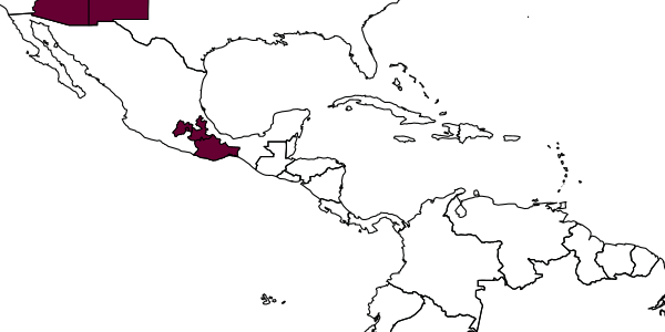 map of Exetastes igneipennis     Cushman, 1937